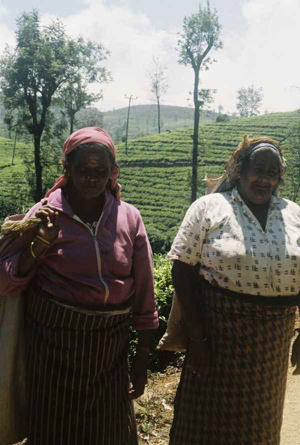 Two women with headscarves standing among green terraced tea fields under a bright sky in St. Catherine Village, Sri Lanka