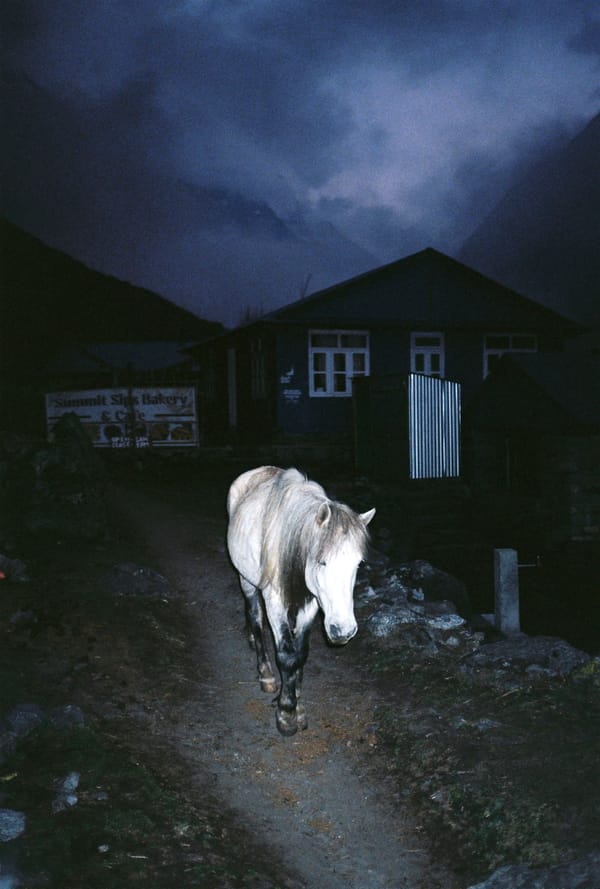 White horse walking down a dark village path at dusk past a bakery sign beneath stormy clouds in Nepal