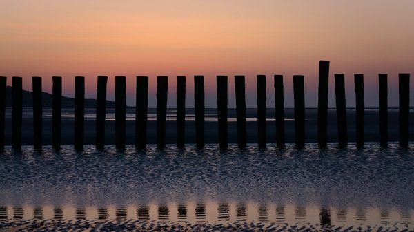 Row of wooden groyne posts silhouetted against a pink and orange dusk sky, reflected in wet sand at low tide