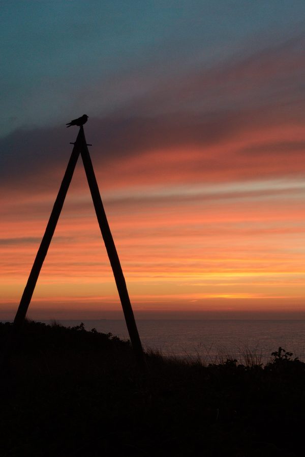 Bird perched atop an A-shaped wooden frame on a dune, silhouetted against vivid orange sunset stripes over the sea