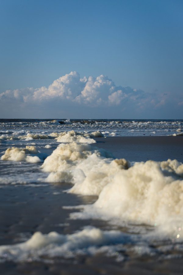 Clumps of white sea foam piled on the wet beach as waves roll in under a blue sky with towering cumulus clouds