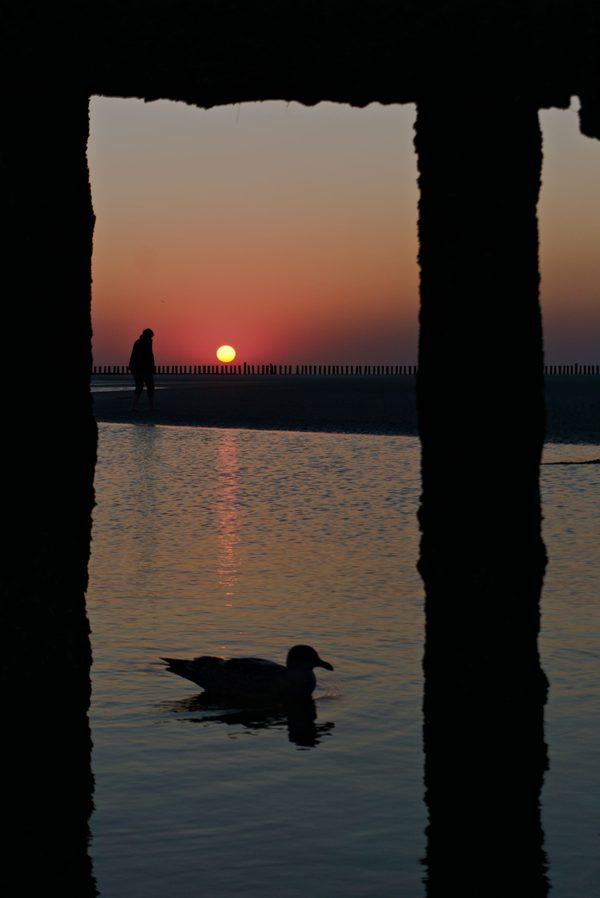 Gull floating in a tidal pool framed by dark pier posts, a lone walker and red setting sun on the horizon behind