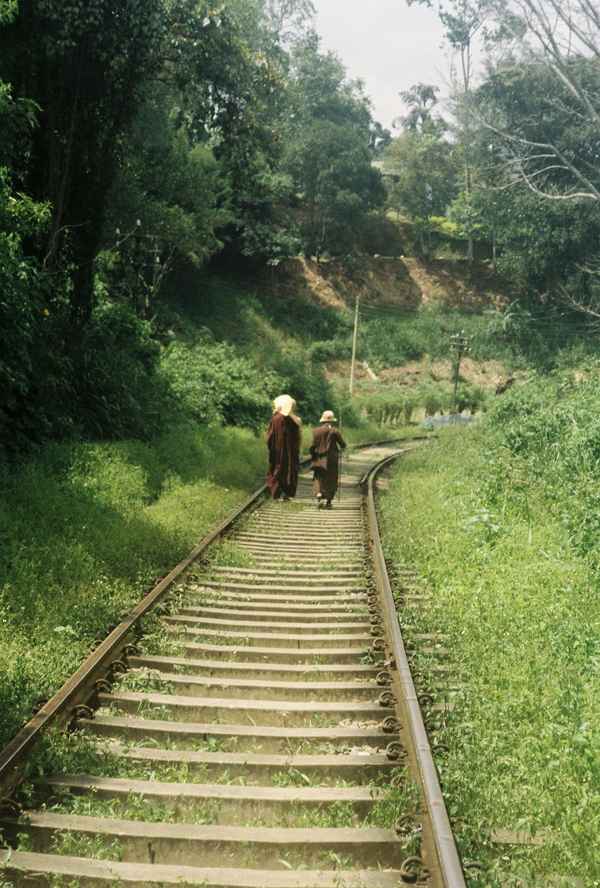 Two robed figures with parasols walk away along an overgrown railway line through green hills in Sri Lanka
