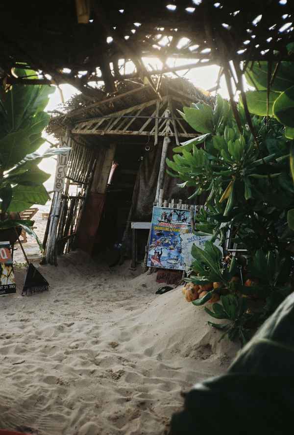 A sandy path leads to a rustic thatched beach hut with a snorkeling sign, framed by leafy plants in backlight, Sri Lanka