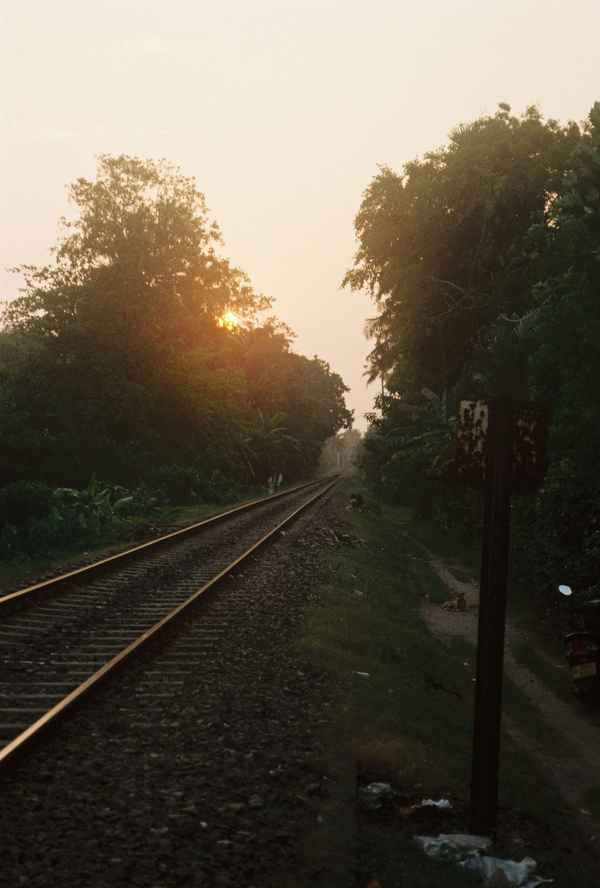 Railway tracks run into the distance between dense trees as a hazy orange sun sets behind the foliage in Sri Lanka