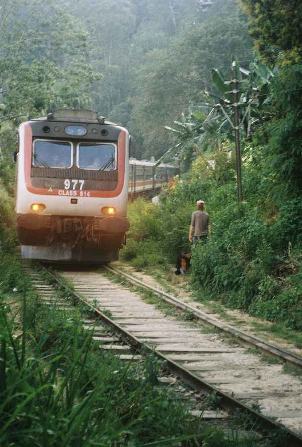 A red and white passenger train rounds a bend through lush jungle as a backpacker waits beside the tracks in Sri Lanka